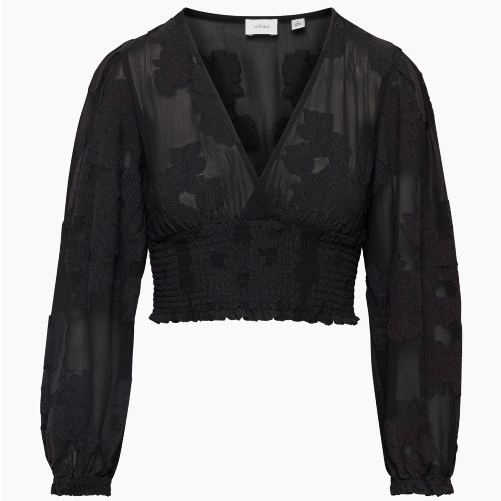 ARITZIA Wistful semi-sheer blouse